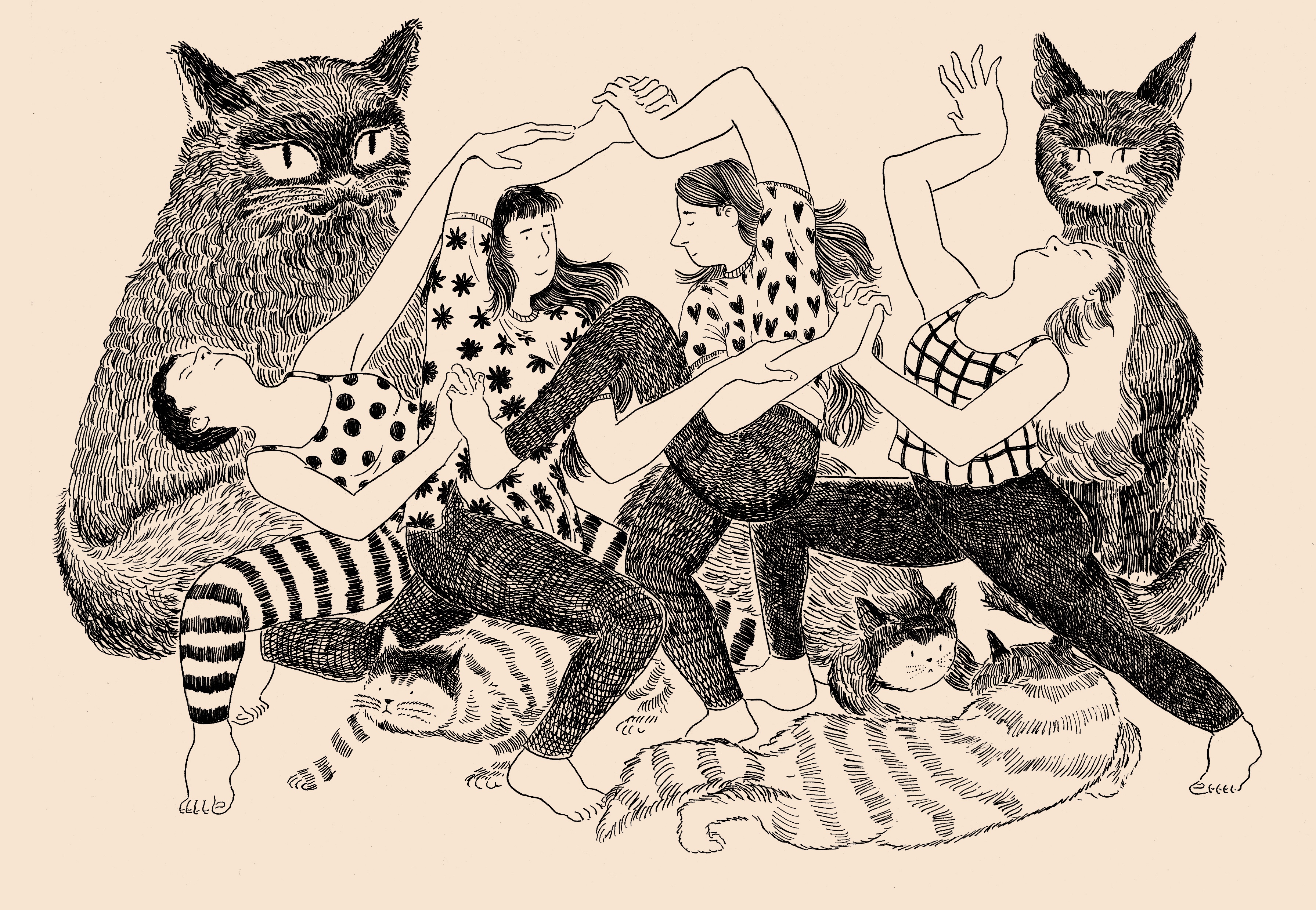 Cats Finished